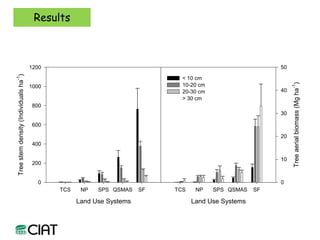 Carbon and tree diversity in agricultural systems in Nicaragua: do trees really make a difference?