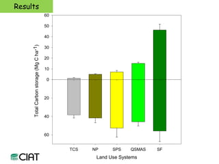 Carbon and tree diversity in agricultural systems in Nicaragua: do trees really make a difference?