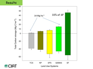 Carbon and tree diversity in agricultural systems in Nicaragua: do trees really make a difference?