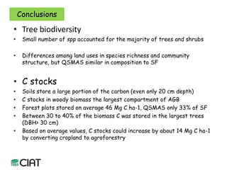 Carbon and tree diversity in agricultural systems in Nicaragua: do trees really make a difference?