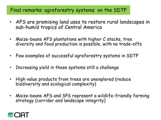 Carbon and tree diversity in agricultural systems in Nicaragua: do trees really make a difference?