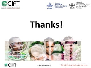 Carbon and tree diversity in agricultural systems in Nicaragua: do trees really make a difference?