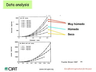 Carbon and tree diversity in agricultural systems in Nicaragua: do trees really make a difference?