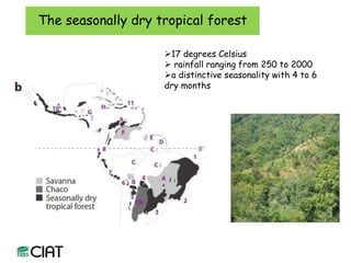 Carbon and tree diversity in agricultural systems in Nicaragua: do trees really make a difference?