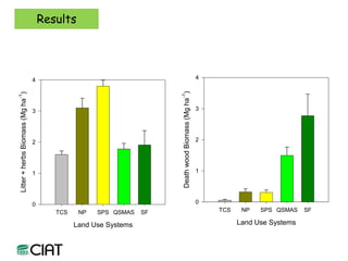 Carbon and tree diversity in agricultural systems in Nicaragua: do trees really make a difference?