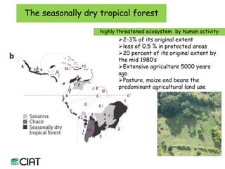 Carbon and tree diversity in agricultural systems in Nicaragua: do trees really make a difference?