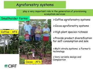 Carbon and tree diversity in agricultural systems in Nicaragua: do trees really make a difference?