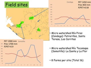 Carbon and tree diversity in agricultural systems in Nicaragua: do trees really make a difference?