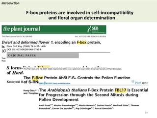 Towards a functional analysis of the major factors involved in the reproductive barrier between Asian and African cultivated species of rice