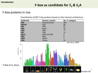 Towards a functional analysis of the major factors involved in the reproductive barrier between Asian and African cultivated species of rice