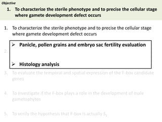 Towards a functional analysis of the major factors involved in the reproductive barrier between Asian and African cultivated species of rice