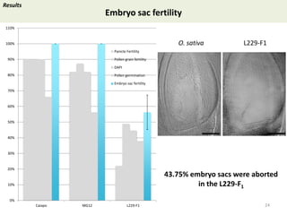 Towards a functional analysis of the major factors involved in the reproductive barrier between Asian and African cultivated species of rice