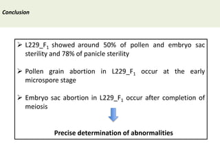 Towards a functional analysis of the major factors involved in the reproductive barrier between Asian and African cultivated species of rice