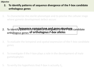 Towards a functional analysis of the major factors involved in the reproductive barrier between Asian and African cultivated species of rice