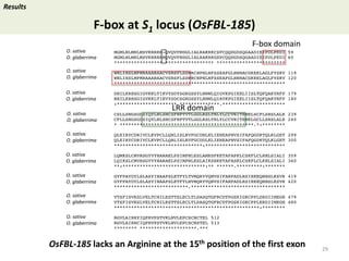 Towards a functional analysis of the major factors involved in the reproductive barrier between Asian and African cultivated species of rice