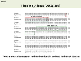 Towards a functional analysis of the major factors involved in the reproductive barrier between Asian and African cultivated species of rice