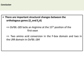 Towards a functional analysis of the major factors involved in the reproductive barrier between Asian and African cultivated species of rice