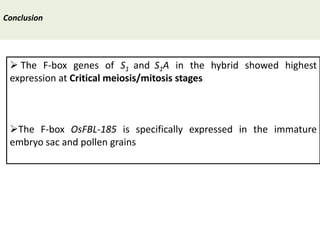 Towards a functional analysis of the major factors involved in the reproductive barrier between Asian and African cultivated species of rice
