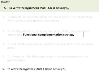 Towards a functional analysis of the major factors involved in the reproductive barrier between Asian and African cultivated species of rice
