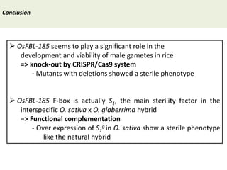 Towards a functional analysis of the major factors involved in the reproductive barrier between Asian and African cultivated species of rice