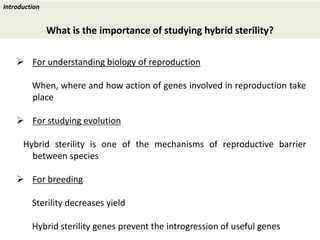 Towards a functional analysis of the major factors involved in the reproductive barrier between Asian and African cultivated species of rice