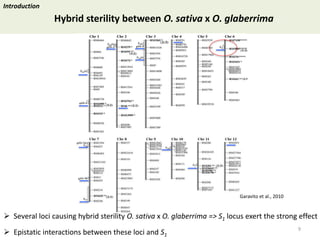Towards a functional analysis of the major factors involved in the reproductive barrier between Asian and African cultivated species of rice