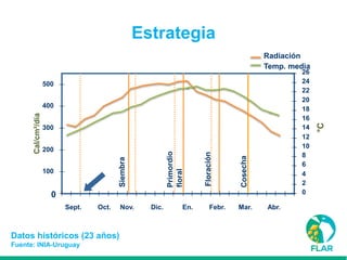 Caracterización de germoplasma frente a limitantes específicas de las zonas arroceras tropical y templada de américa latina