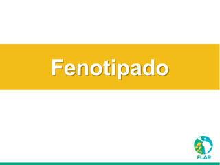 Caracterización de germoplasma frente a limitantes específicas de las zonas arroceras tropical y templada de américa latina