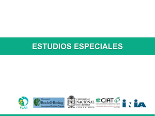 Caracterización de germoplasma frente a limitantes específicas de las zonas arroceras tropical y templada de américa latina