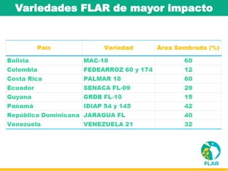 Caracterización de germoplasma frente a limitantes específicas de las zonas arroceras tropical y templada de américa latina