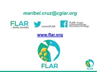 Caracterización de germoplasma frente a limitantes específicas de las zonas arroceras tropical y templada de américa latina