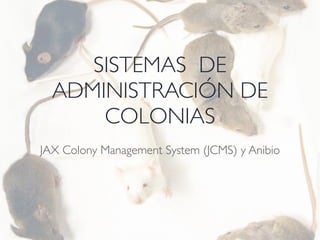 SISTEMAS DE
ADMINISTRACIÓN DE
COLONIAS
JAX Colony Management System (JCMS) y Anibio
 