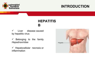INTRODUCTION HEPATITIS B Liver disease caused by hepatitis virus Belonging to the family  Hepadnaviridae Hepatocellular necrosis or inflammation 