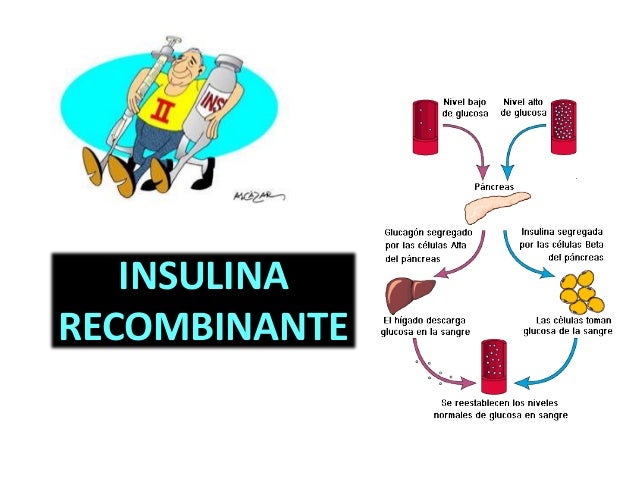 Proteinas recombinantes, Insulina recombinante Proteinas recombinantes, Insulina recombinante