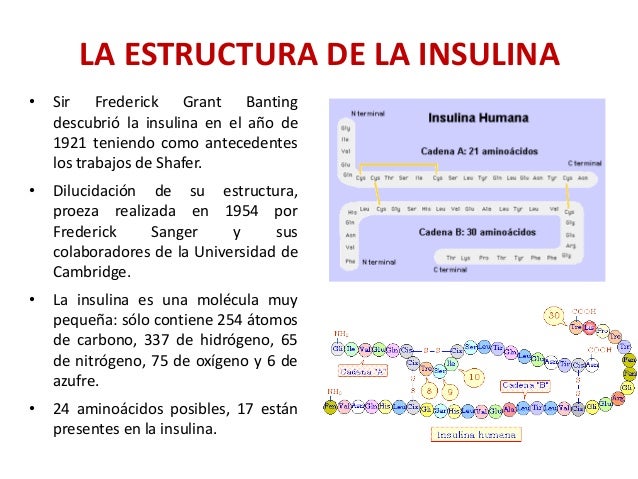 Proteinas recombinantes, Insulina recombinante Proteinas recombinantes, Insulina recombinante