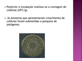    Posterior a incubação realizou-se a contagem de
    colônias (UFC/g).

   As Amostras que apresentaram crescimento de
    colônias foram submetidas a pesquisa de
    patógenos.
 