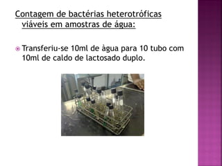 Contagem de bactérias heterotróficas
 viáveis em amostras de água:

 Transferiu-se
              10ml de àgua para 10 tubo com
 10ml de caldo de lactosado duplo.
 