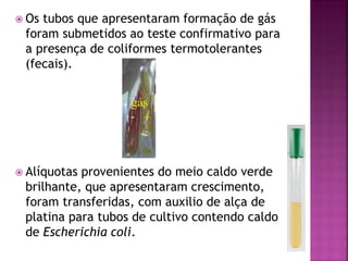  Ostubos que apresentaram formação de gás
 foram submetidos ao teste confirmativo para
 a presença de coliformes termotolerantes
 (fecais).




 Alíquotasprovenientes do meio caldo verde
 brilhante, que apresentaram crescimento,
 foram transferidas, com auxilio de alça de
 platina para tubos de cultivo contendo caldo
 de Escherichia coli.
 