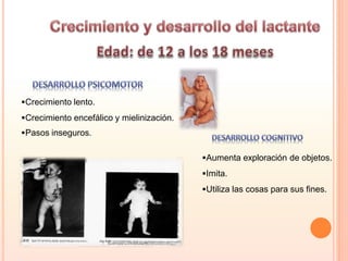 Crecimiento lento.
Crecimiento encefálico y mielinización.
Pasos inseguros.
Aumenta exploración de objetos.
Imita.
Utiliza las cosas para sus fines.
 