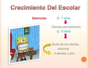 DENTICIÓN: 7 años
Dientes permanentes.
6 años
Muda de los dientes
caducos.
4 dientes x año
 