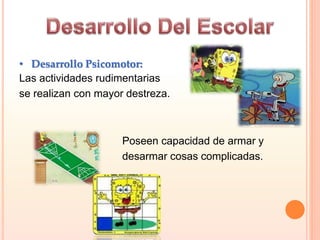 • Desarrollo Psicomotor:
Las actividades rudimentarias
se realizan con mayor destreza.
Poseen capacidad de armar y
desarmar cosas complicadas.
 