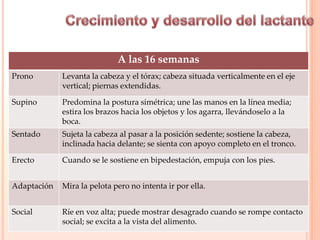 A las 16 semanas
Prono Levanta la cabeza y el tórax; cabeza situada verticalmente en el eje
vertical; piernas extendidas.
Supino Predomina la postura simétrica; une las manos en la línea media;
estira los brazos hacia los objetos y los agarra, llevándoselo a la
boca.
Sentado Sujeta la cabeza al pasar a la posición sedente; sostiene la cabeza,
inclinada hacia delante; se sienta con apoyo completo en el tronco.
Erecto Cuando se le sostiene en bipedestación, empuja con los pies.
Adaptación Mira la pelota pero no intenta ir por ella.
Social Ríe en voz alta; puede mostrar desagrado cuando se rompe contacto
social; se excita a la vista del alimento.
 