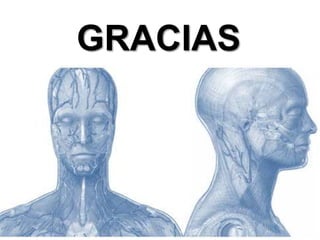GRACIAS
 