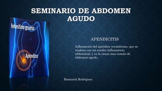 SEMINARIO DE ABDOMEN
AGUDO
APENDICITIS
Inflamación del apéndice vermiforme, que se
traduce con un cuadro inflamatorio
abdominal, y es la causa mas común de
abdomen agudo.
Bismarck Rodriguez
 