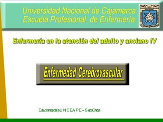 Universidad Nacional de Cajamarca Escuela Profesional  de Enfermería Enfermería en la atención del adulto y anciano IV Estudiantes de la UNC EAPE – Sede Chota 