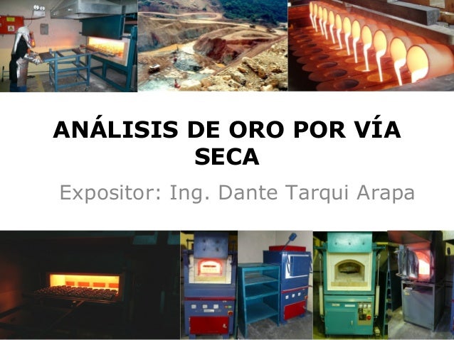 Seminario de Análisis de Oro por Vía Seca - LMS