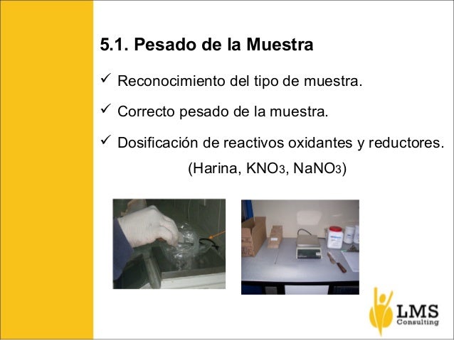 Seminario de Análisis de Oro por Vía Seca - LMS