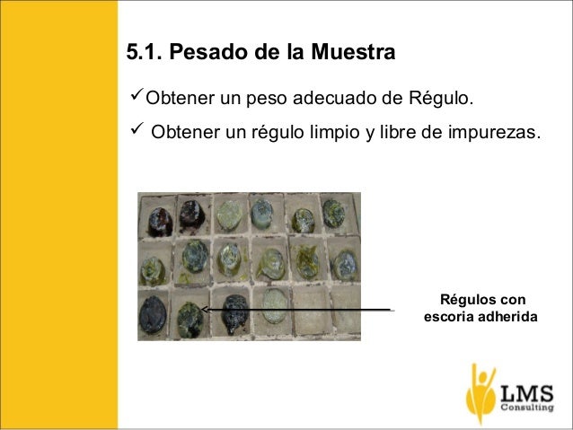 Seminario de Análisis de Oro por Vía Seca - LMS