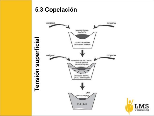 Seminario de Análisis de Oro por Vía Seca - LMS