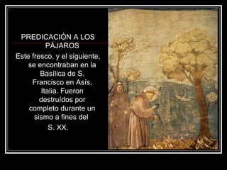 PREDICACIÓN A LOS 
PÁJAROS 
Este fresco, y el siguiente, 
se encontraban en la 
Basílica de S. 
Francisco en Asís, 
Italia. Fueron 
destruídos por 
completo durante un 
sismo a fines del 
S. XX. 
 